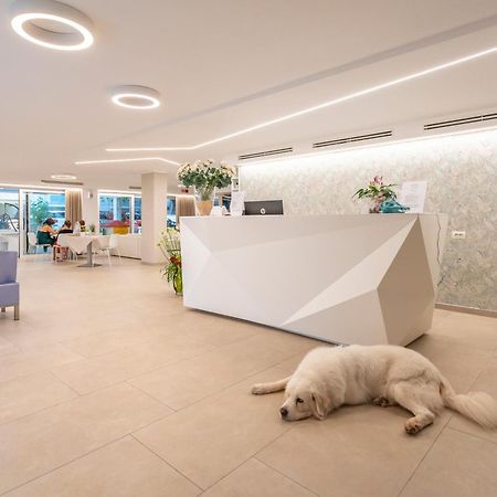 Hotel San Domingo Bellaria-Igea Marina Eksteriør bilde